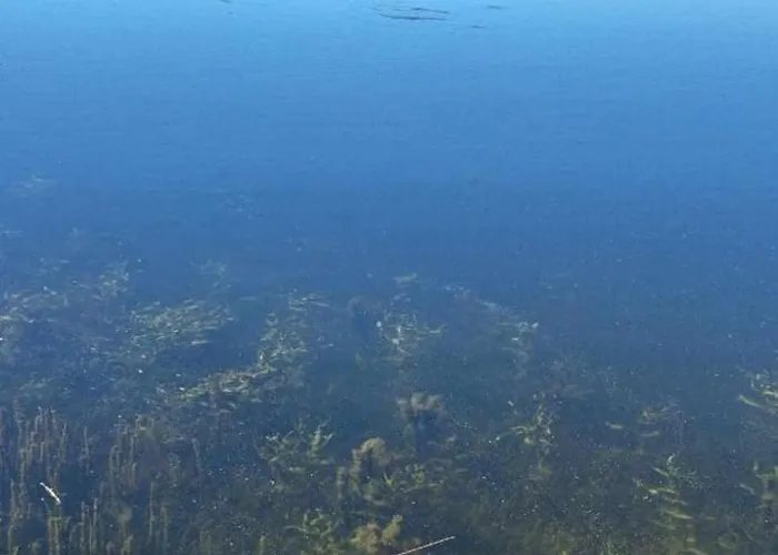 Casa de Férias Ania